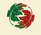 AgeWiseLiving Generational Coaching